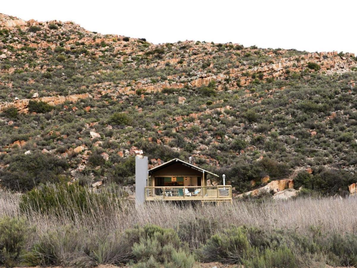 Africamps At Karoo 1 Villa De Doorns Ngoại thất bức ảnh